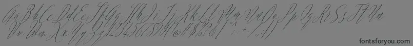 Argentina Script Italic-Schriftart – Schwarze Schriften auf grauem Hintergrund