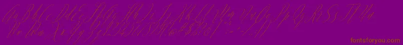 Argentina Script Italic Font – Brown Fonts on Purple Background