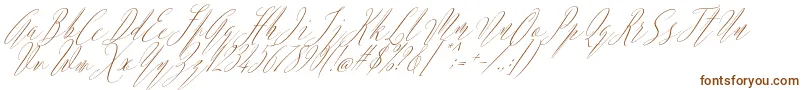 Argentina Script Italic-fontti – ruskeat fontit valkoisella taustalla