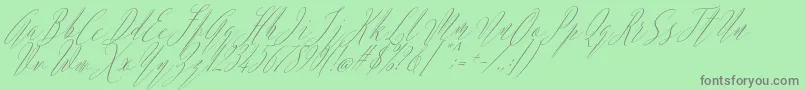 Argentina Script Italic-Schriftart – Graue Schriften auf grünem Hintergrund