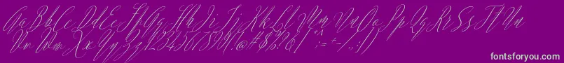 Argentina Script Italic Font – Green Fonts on Purple Background