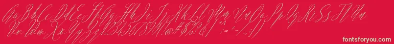 フォントArgentina Script Italic – 赤い背景に緑の文字