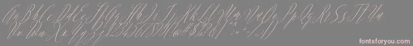 Argentina Script Italic-fontti – vaaleanpunaiset fontit harmaalla taustalla