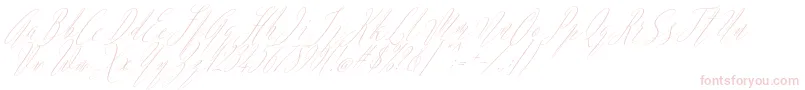 Argentina Script Italic-fontti – vaaleanpunaiset fontit valkoisella taustalla