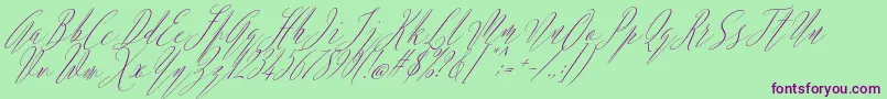 Fonte Argentina Script Italic – fontes roxas em um fundo verde