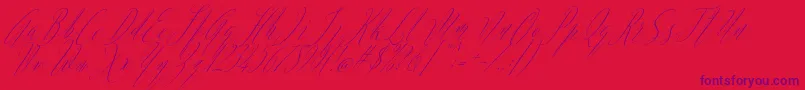 Argentina Script Italic-Schriftart – Violette Schriften auf rotem Hintergrund