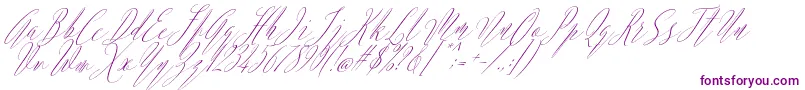 Argentina Script Italic-fontti – violetit fontit valkoisella taustalla