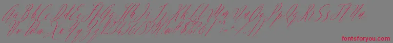 Шрифт Argentina Script Italic – красные шрифты на сером фоне