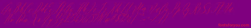 Argentina Script Italic Font – Red Fonts on Purple Background