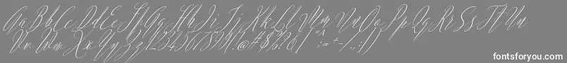 Czcionka Argentina Script Italic – białe czcionki na szarym tle