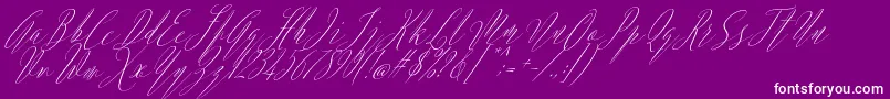 Argentina Script Italic-Schriftart – Weiße Schriften auf violettem Hintergrund