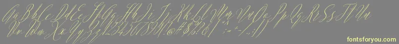 Argentina Script Italic-Schriftart – Gelbe Schriften auf grauem Hintergrund