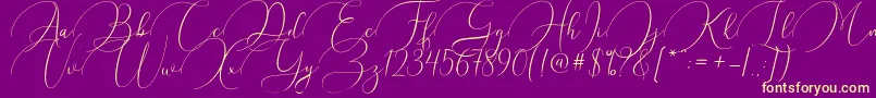 Argentina Script Font – Yellow Fonts on Purple Background