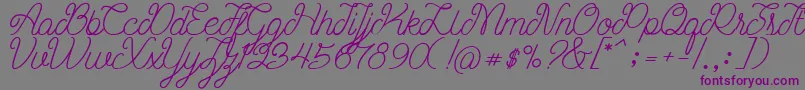 Шрифт Ariana Script Free Demo – фиолетовые шрифты на сером фоне
