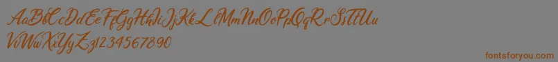Ariana Violeta Font – Brown Fonts on Gray Background