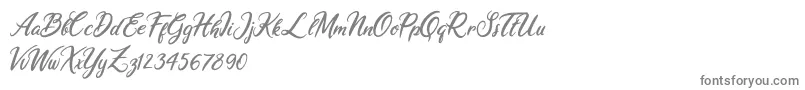 Ariana Violeta Font – Gray Fonts