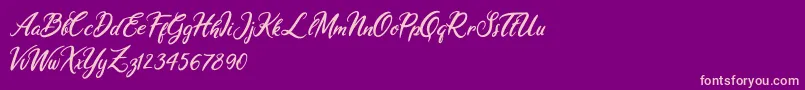 Ariana Violeta Font – Pink Fonts on Purple Background