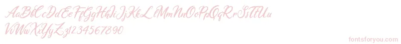 Ariana Violeta Font – Pink Fonts on White Background