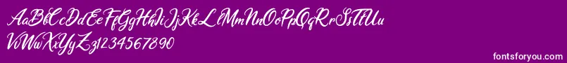 Ariana Violeta Font – White Fonts on Purple Background