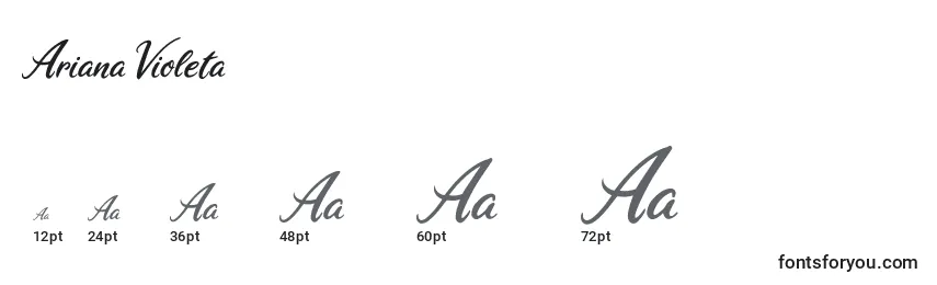 Размеры шрифта Ariana Violeta