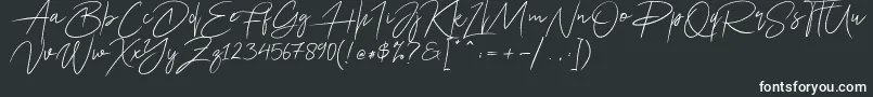 フォントAriel Script – 黒い背景に白い文字