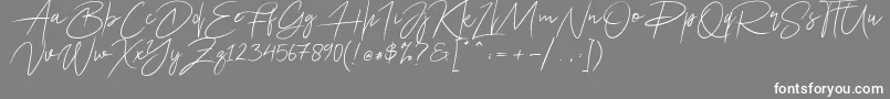 フォントAriel Script – 灰色の背景に白い文字