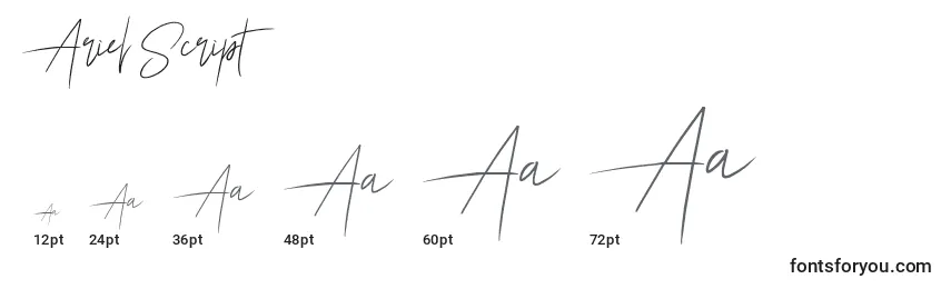 Размеры шрифта Ariel Script (119917)