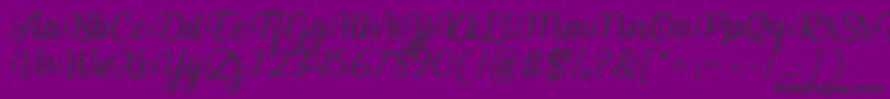 Arinda Font by 7NTypes Font – Black Fonts on Purple Background