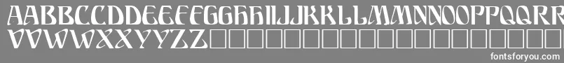 ARIOSTO Font – White Fonts on Gray Background