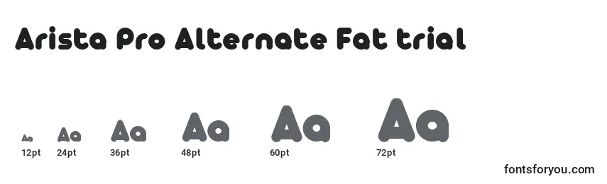 Размеры шрифта Arista Pro Alternate Fat trial