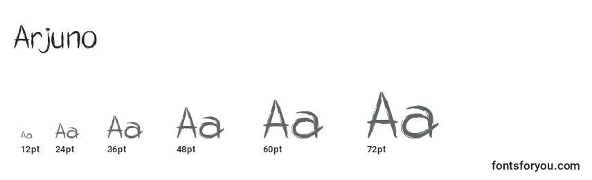 Размеры шрифта Arjuno