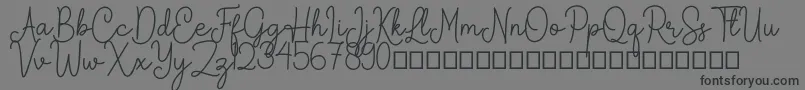 Arkina Font – Black Fonts on Gray Background
