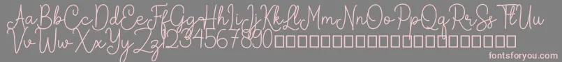 Arkina Font – Pink Fonts on Gray Background