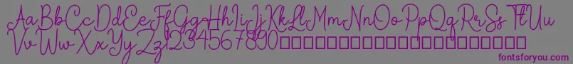 Arkina-Schriftart – Violette Schriften auf grauem Hintergrund
