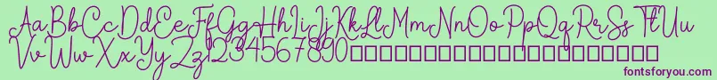 Arkina Font – Purple Fonts on Green Background
