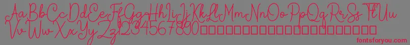 Arkina Font – Red Fonts on Gray Background