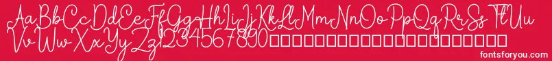 Arkina Font – White Fonts on Red Background