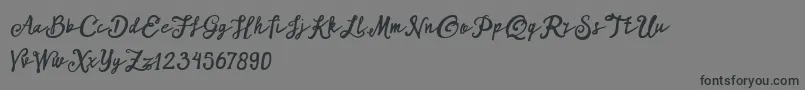 ARKMishaDemo Script-Schriftart – Schwarze Schriften auf grauem Hintergrund