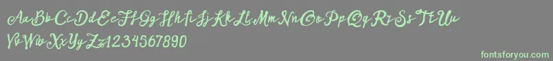 Шрифт ARKMishaDemo Script – зелёные шрифты на сером фоне