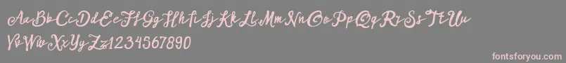 フォントARKMishaDemo Script – 灰色の背景にピンクのフォント