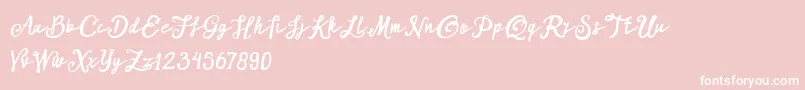 ARKMishaDemo Script-Schriftart – Weiße Schriften auf rosa Hintergrund