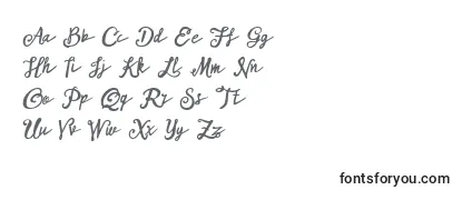 ARKMishaDemo Script-fontti