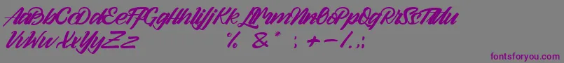 Police Arlen Script Demo – polices violettes sur fond gris