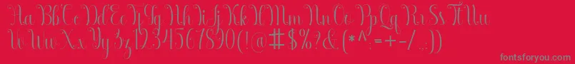 Armadilla Font – Gray Fonts on Red Background