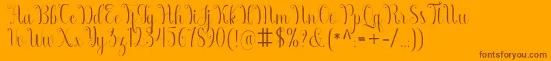 Armadilla Font – Brown Fonts on Orange Background