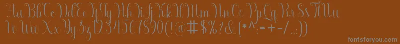 フォントArmadilla – 茶色の背景に灰色の文字