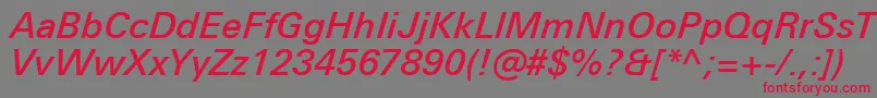 UniversNextProMediumItalic Font – Red Fonts on Gray Background