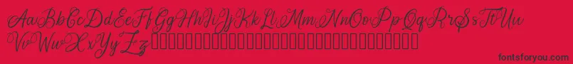 AromaticGinger Font – Black Fonts on Red Background
