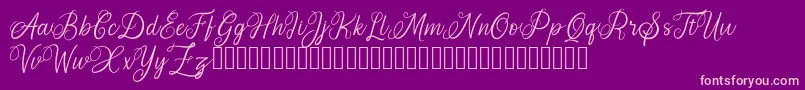 AromaticGinger Font – Pink Fonts on Purple Background