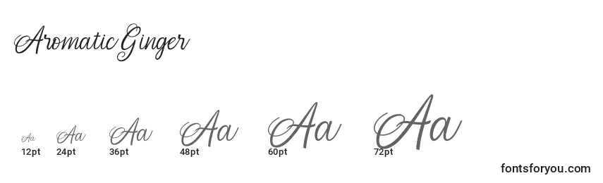 AromaticGinger Font Sizes